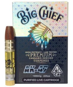 big chief disposable