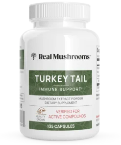 Turkey Tail Mushroom Capsules