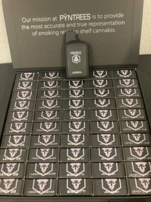 PYNTREES 2G DISPOSABLE